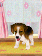 game pic for Emdigo Inc Dog Beagle S60 3rd